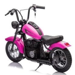 24V Electric Dirt Bike – 250W Motor, Two-Speed Settings, LED Lights, Leather Seat & 60-Minute Run Time 15 24V Electric Dirt Bike – 250W Motor, Two-Speed Settings, LED Lights, Leather Seat & 60-Minute Run Time -Garvee GUEST a6ef7355 f70e 42af b583 ca0ef24292c4